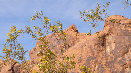 red rock and sky
