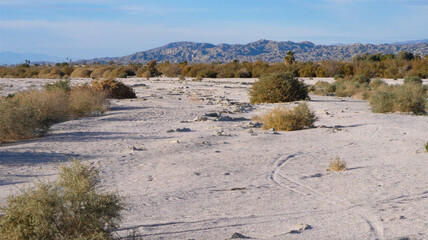 Tracks in the salt flats in the desert