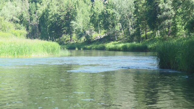 Taiga, a magical river. A beautiful river flows among the forest and rocks in a wild place. The Berd River. Siberia.