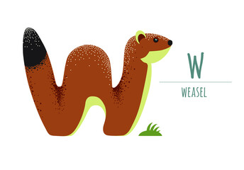Cute weasel in the shape of a letter - W. children's alphabet. poster, postcard.