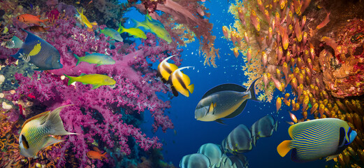 Fototapety na wymiar - Fototapeta24.pl