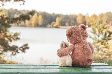 Fluffy brown teddy bear hugs small toy bunny sitting on green bench on bank of tranquil river on...