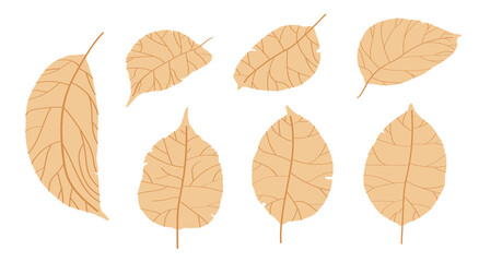 Obraz premium doodle apple tree leaves isolated on white background. Autumn fallen leaves of apple tree. Harvesting. Vector