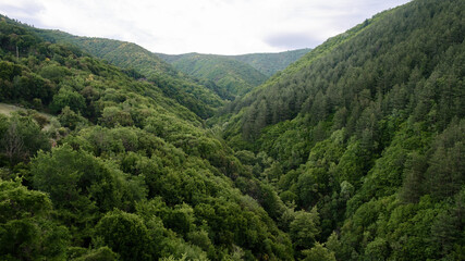 Fototapeta na wymiar Green forest hills after the rain.