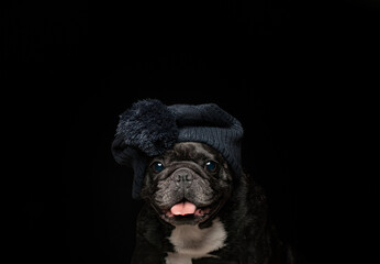 image of dog hat dark background 