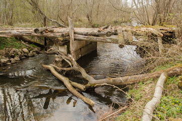 Fototapeta na wymiar An old, worn, dangerous wooden bridge over a small river.