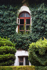 old house in the woods