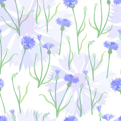 Seamless Pattern with a Colored Cornflower Flowers
