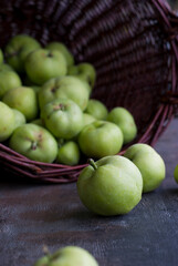 Natural green apples from the home garden on a dark background.