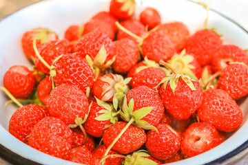 Red berries of ripe strawberries close-up in a bowl.
