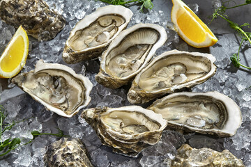 Six fresh raw oysters in shells halves on ice with lemon