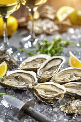 Fresh open oysters on ice with lemon and white wine