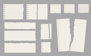 Torn sheets of paper.