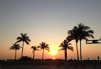 Fototapeta na wymiar Beautiful palm tree shadow in the background of golden sunrise in Fort Lauderdale beach, Florida, USA