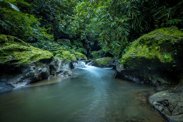 Naklejka na ściany i meble Tropical landscape. River in rainforest. Soft focus. Slow shutter speed, motion photography. Nature background. Environment concept. Bangli, Bali, Indonesia