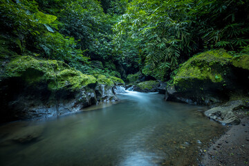Tropical landscape. River in rainforest. Soft focus. Slow shutter speed, motion photography. Nature background. Environment concept. Bangli, Bali, Indonesia