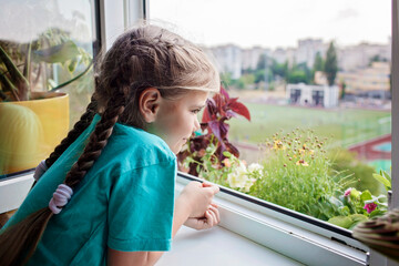Cute girl helping to care for home plants on the balcony window, plant parents concept, home gardening, green environment, nature and ecology at home