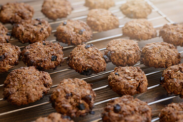 Freshly baked homemade oatmeal cookies on baking rack on rustic wooden background.