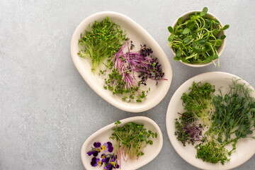 Different types of useful microgreens on plates, top view