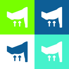 Arm Flat four color minimal icon set