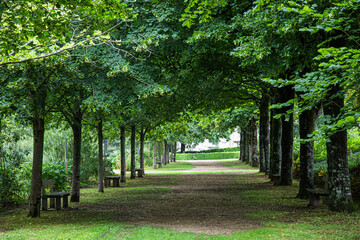 the plant garden of Avranches, in Normandy