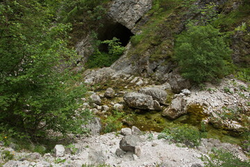 River Erlauf in Oetschergraben near to the Oetscher in Austria, Europe
