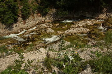 River Erlauf in Oetschergraben near to the Oetscher in Austria, Europe
