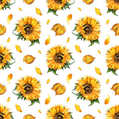 Watercolor illustration of a floral pattern of sunflower and leaves. Seamless repeating print of botanical floral background. Design elements flowers, buds and leaves. Isolated over white background. 