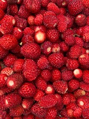 Background with wild strawberries  ripe red fruit.