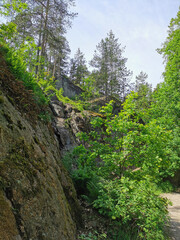 A boulder fence with trees growing on it in the rocky natural park of Monrepos in the city of Vyborg on a clear summer day.