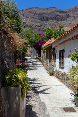 Fototapeta na wymiar The white houses of the village Fataga in Gran Canaria