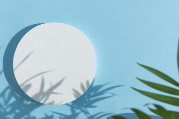 Abstract minimal scene of a geometrical form. A cylindrical white podium on a pastel blue background with a shadow of tropical palm leaves. Scene to show cosmetic podructs. Showcase, display case