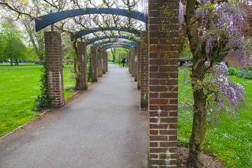 An outdoor arcade with blooming flowers