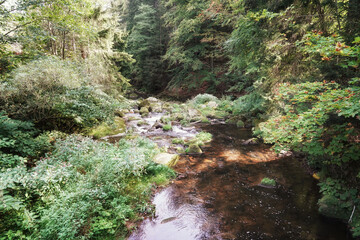 September in the Giant Mountains, a mountain river, sunny day