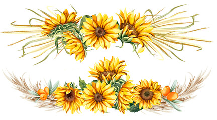 Flower arrangements of sunflowers, Autumn colors, Sunflowers, on an isolated white background, Watercolor illustration, Botanical painting. Boho, rustic compositions