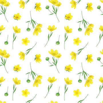 Yellow buttercups, wild flowers seamless pattern watercolor illustration, summer meadow repeat ornament, forest plants, delicate floral elements for greeting cards, invitations, home decor ideas