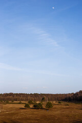 Naklejka premium moon in daylight over a wide meadow with small group of trees and forest in the background