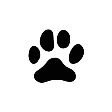 Different animal paw print vector illustrations
