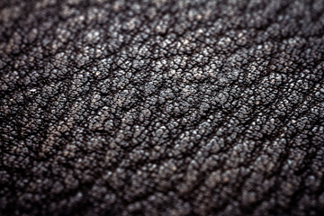 Extreme closeup of a leather