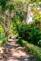 Sendero de un jard&iacute;n rodeado de diferente tipo de vegetaci&oacute;n
