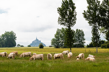 Mont Saint-Michel, seen from the village of Huisnes sur mer