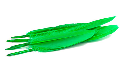 Obraz na płótnie Canvas Bright green feather isolated on the white background