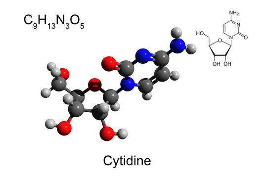 Chemical formula, skeletal formula, and 3D ball-and-stick model of nucleoside cytidine, white background