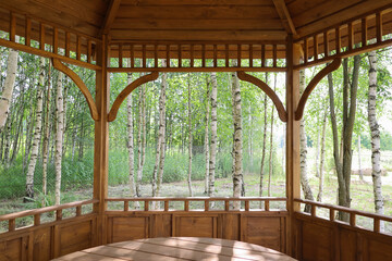 View from inside of open summer gazebo from wood in birch grove