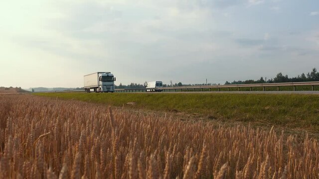 Cargo truck with cargo trailer driving on a highway past a wheat field on a summer sunny day. Concept of Logistics, Transport, Cargo Transportation, Delivery.