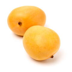 mangos on a white background 