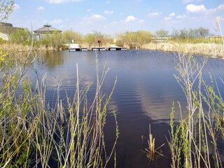 Tall dry grass on the bank of the pond. Small house and wooden walkways in the background. Oak Hammock Marsh.