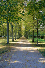 Herrliche Alleen im Französischen Garten in Celle.. Celle, Niedersachsen, Deutschland, Europa  --
Magnificent avenue in the French Garden in Celle.
Celle, Lower Saxony, Germany, Europe 