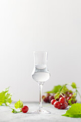 Glass of grappa drink and fresh grapes on the gray background. Alcohol concept