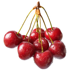 Bunch sweet cherry close up isolated
